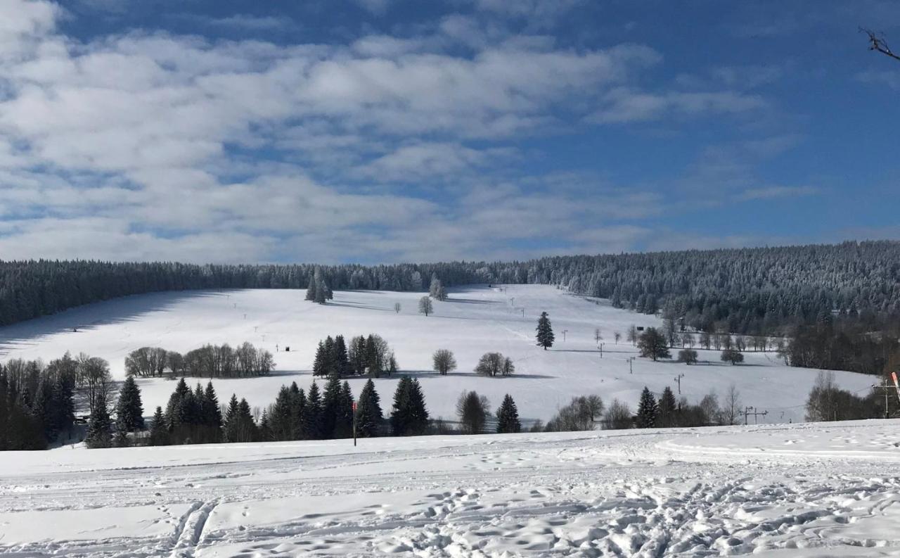 Apartman Nove Hute Sumava Buitenkant foto