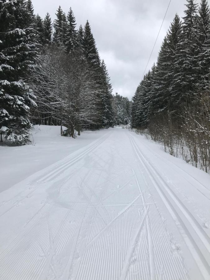 Apartman Nove Hute Sumava Buitenkant foto