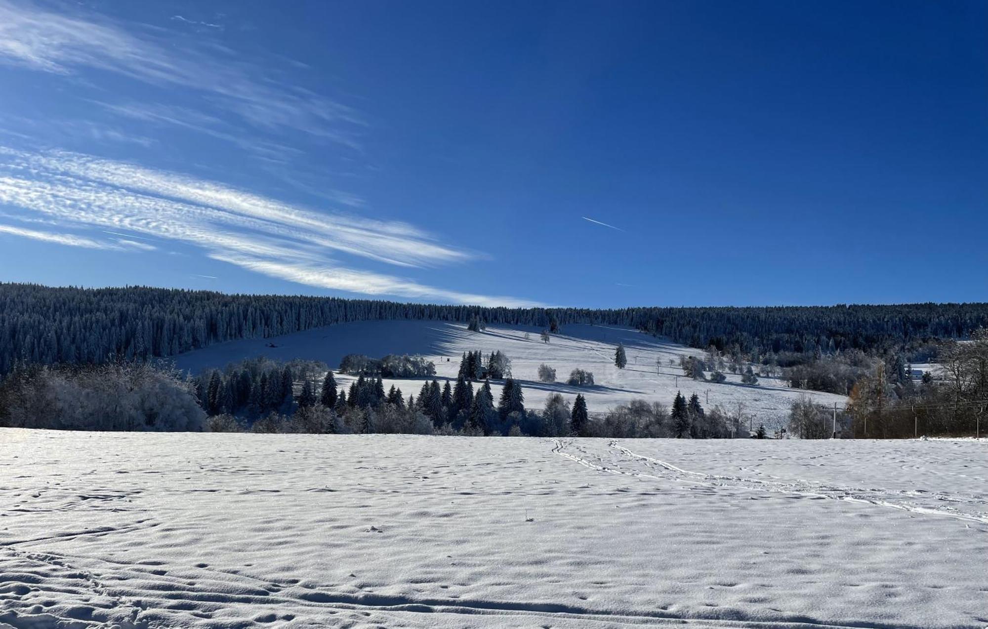 Apartman Nove Hute Sumava Buitenkant foto